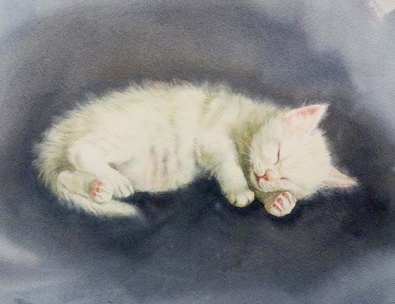 White kitten sleeping  - White Cat - watercolor kitten - gift for child