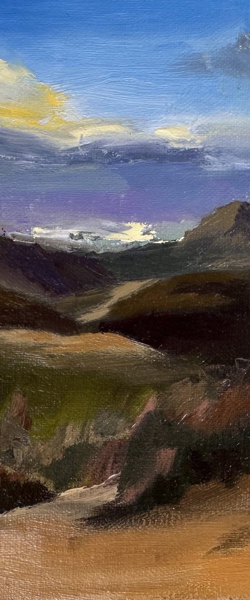 Darkening Skies by Grace Diehl