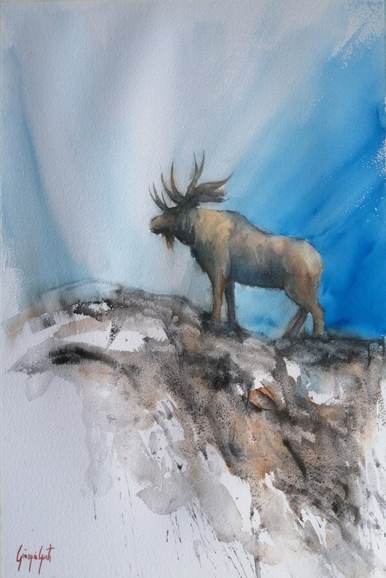 elk 2