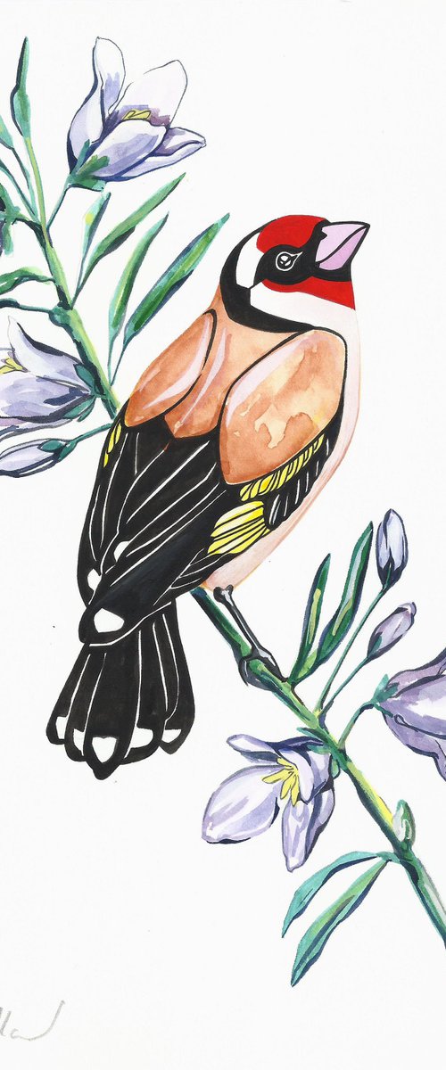 Goldfinch and Bellflower by Fran Giffard