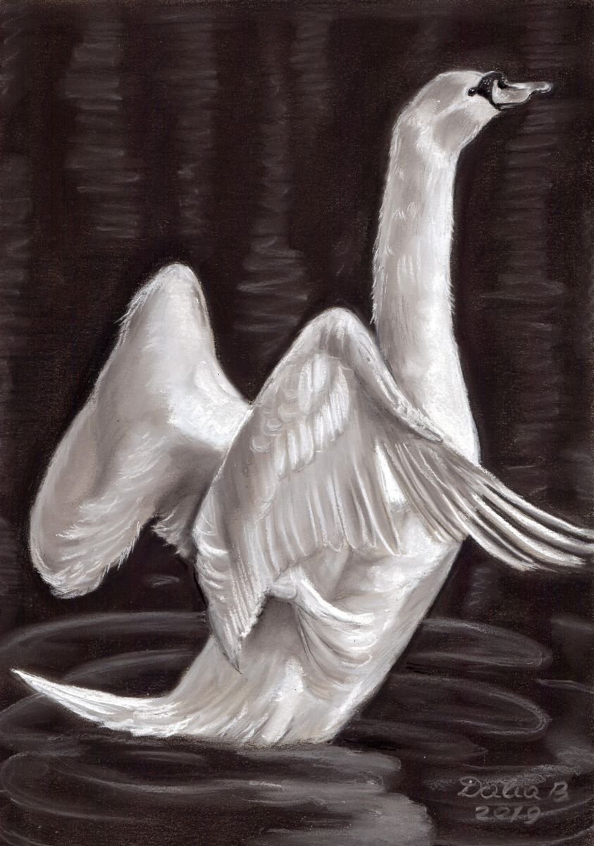 Swan by Dalia Binkiene