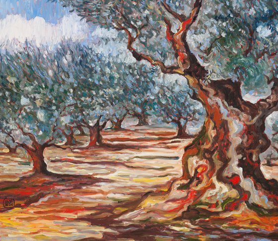 Olive Grove