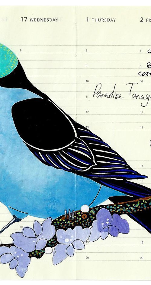 Birds of South America: Paradise Tanager by Fran Giffard