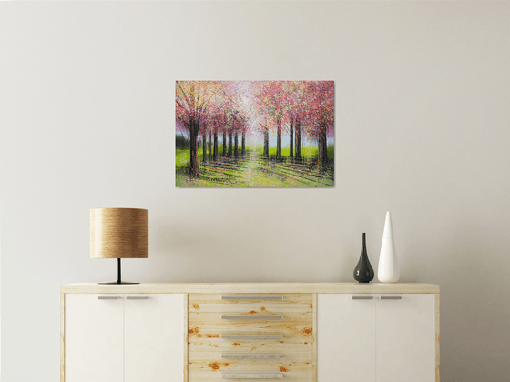 Light Through Spring Blossom Trees