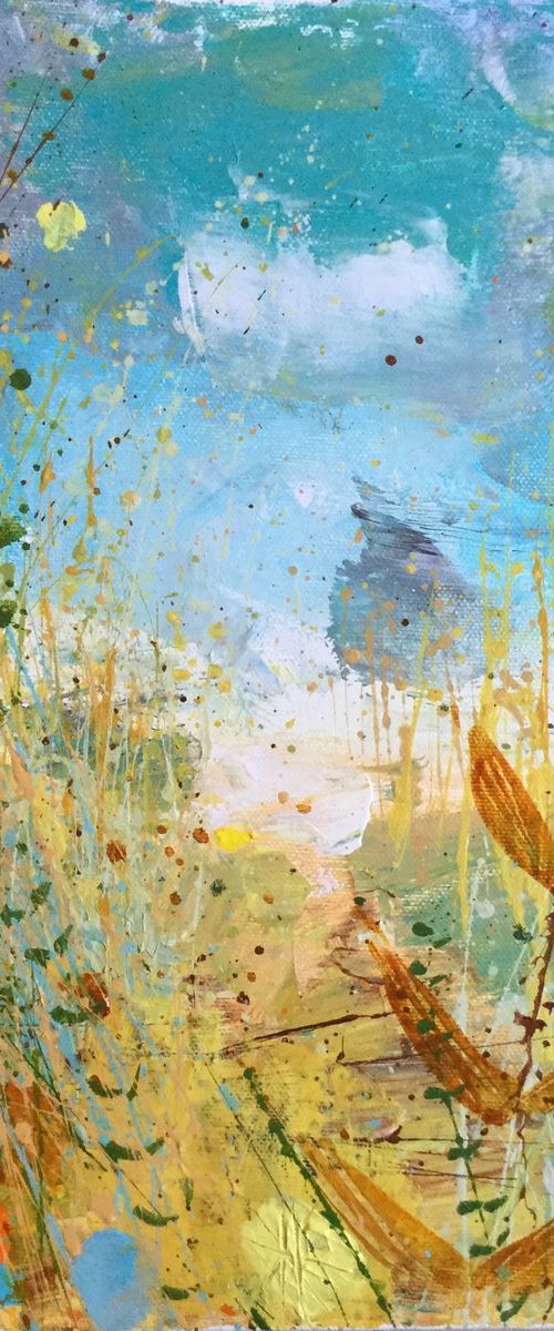 Coast by Sandy Dooley