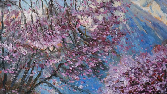 Almond Trees in Bloom