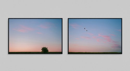 On earth and in the sky (Diptych) by Julia Gogol