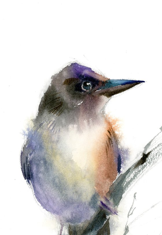 Wren - Diptych