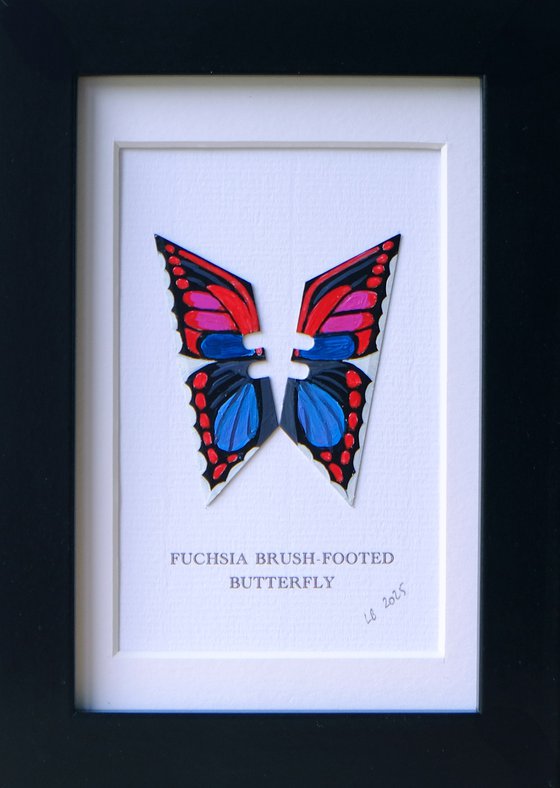 Fuchsia Brush-footed butterfly