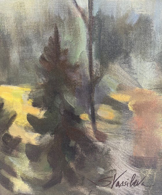 Forest at Sunrise