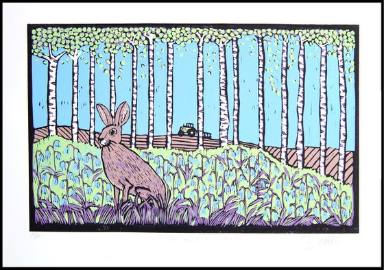 Hare and Bluebells