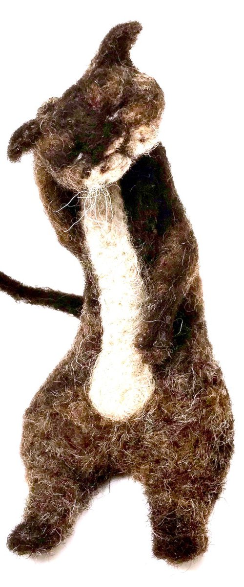 Stray cat, felted wool cat by Eleanor Gabriel