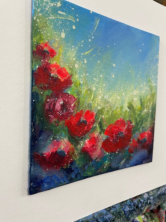 Poppies in the shade