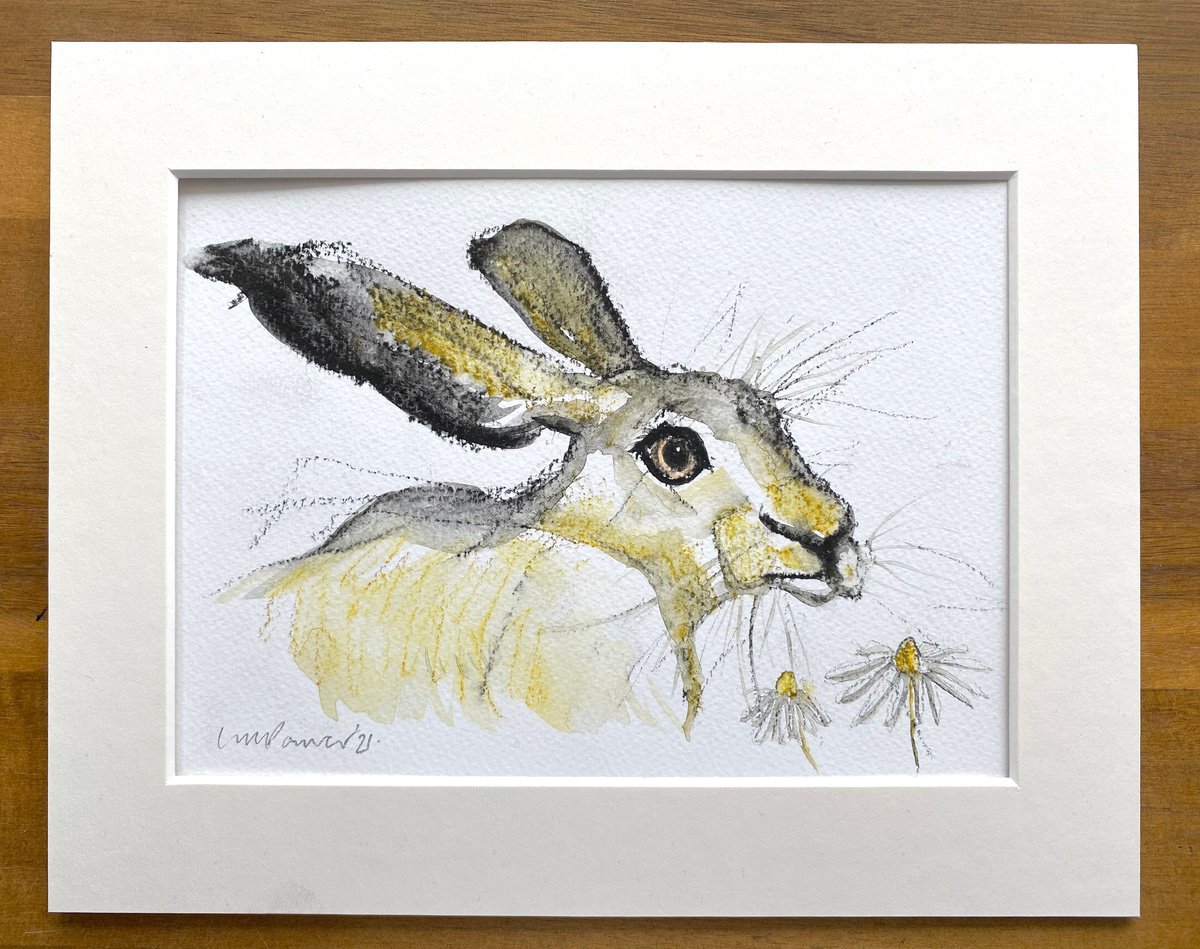 Daisy Hare #08 - charcoal and Ink wash drawing on paper - A5 148mm x 210mm by Luci Power