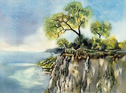 a view of the cliff by Alfred  Ng
