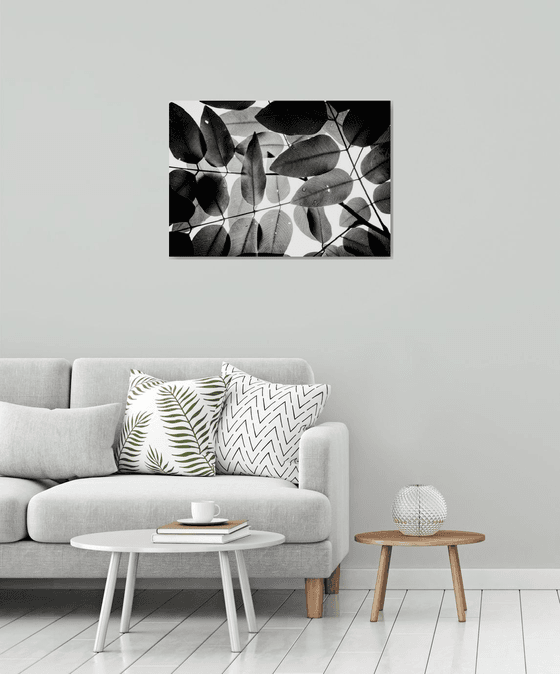 Experiments with Leaves I | Limited Edition Fine Art Print 1 of 10 | 75 x 50 cm