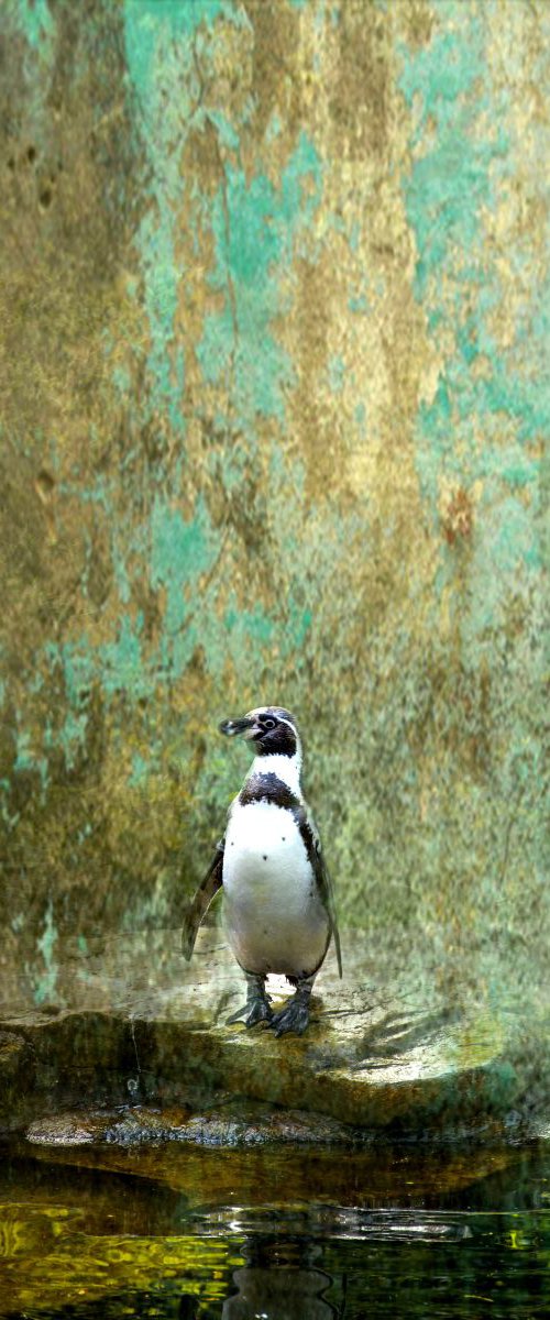 Penguin by Chiara Vignudelli