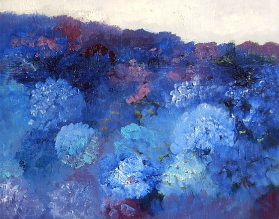 Hydrangeas 1