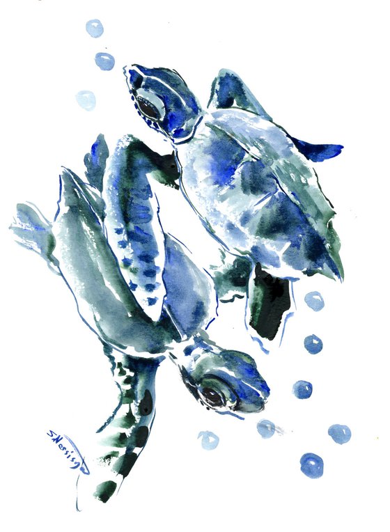 Sea Turtle