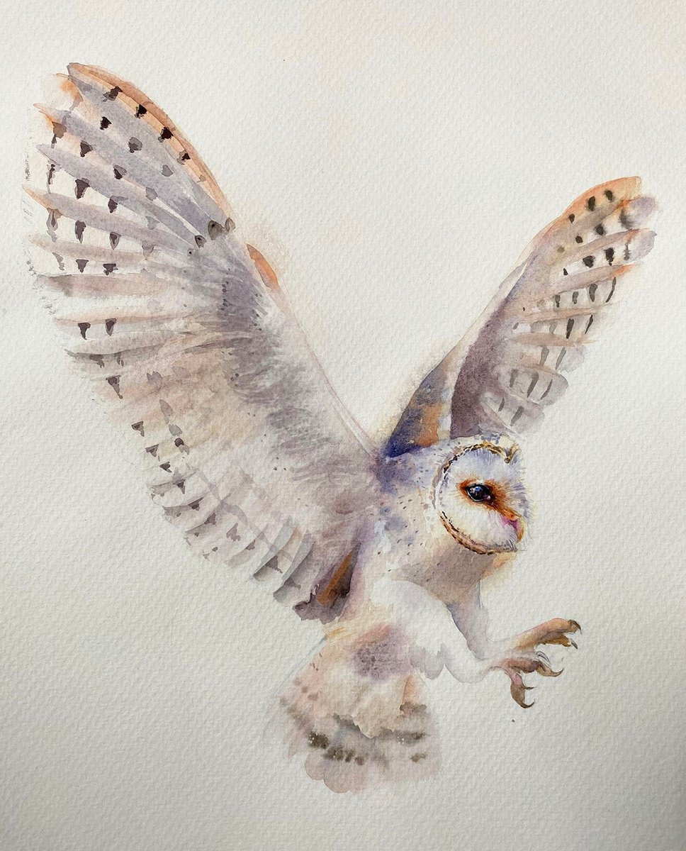 Owl. Haze. by Asya   Kozachek