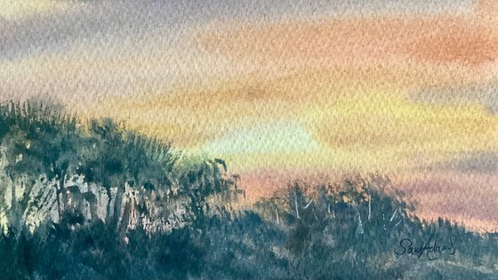 Studland heath sunset, Dorset