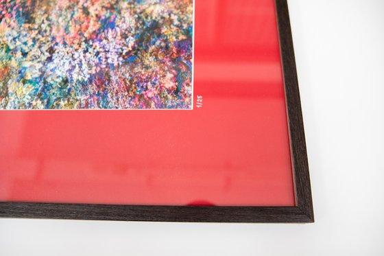 Wall of Nature XXIX (Framed)