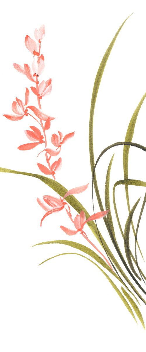 Coral Orchid Whisper by Hai Doan