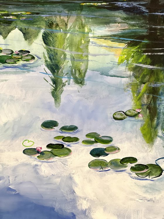 Waterlilies Pond 1