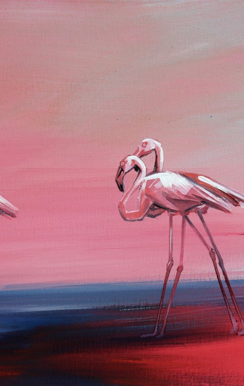 Flamingos. Flamingoes. Fire birds. Morning walking. Landscape. Birds in the Water. Country. Autumn. by Trayko Popov