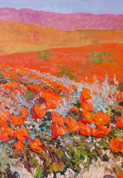 Valley of Poppies, California by Suren Nersisyan