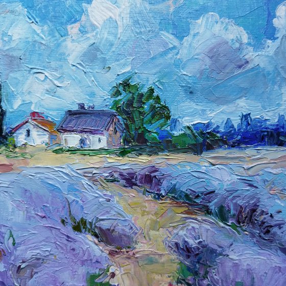 Scent of lavender field 20*30 cm