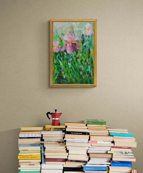 Blush Irises in Bloom