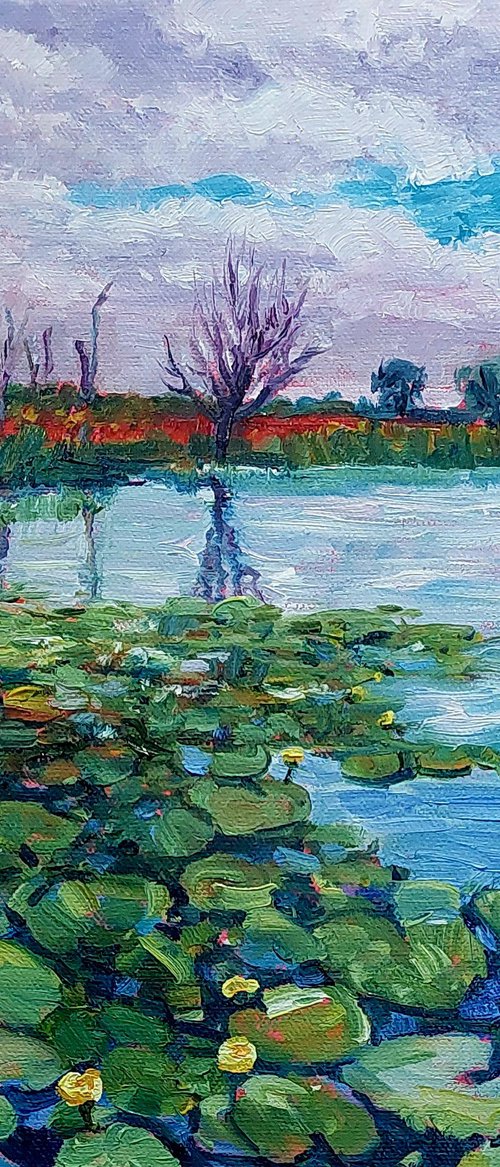 Waterlilies on the River Bure by Zoe Elizabeth Norman