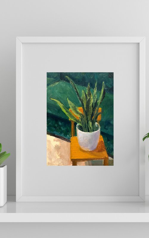 Sanseveria in White Pot Study by Eliza Kołodziej