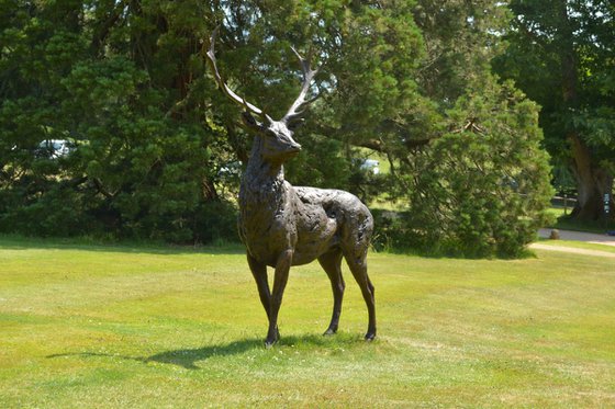 Standing Red Deer Stag - Bronze Resin