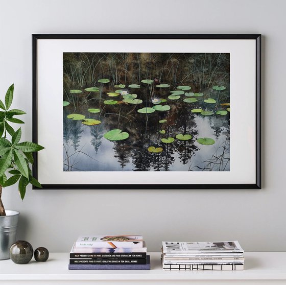 The Enchanted Forest Lake  - Water Lily Pond -  waterlily lake