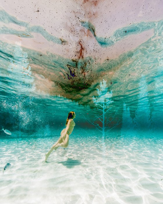 Underwater dreams