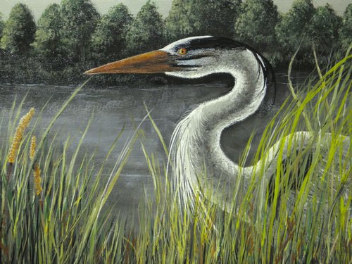 Heron in Tall Grass by Donna Daniels