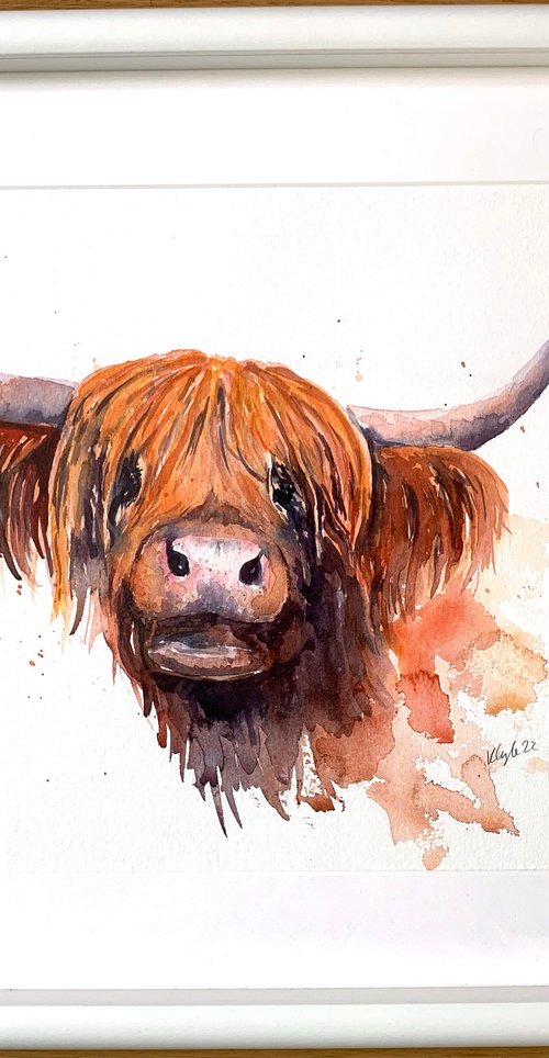 Highland Cow Watercolour by Kathryn Coyle