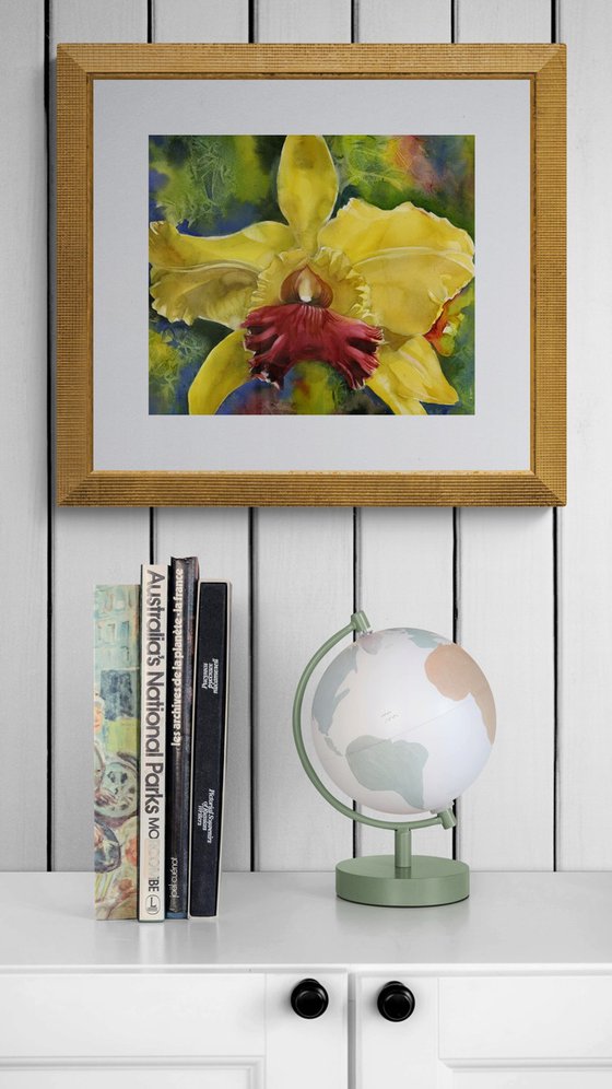 Christmas Orchid