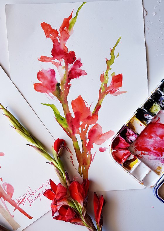 RED GLADIOLUS. RED FLOWERS. WATERCOLOR PAINTING