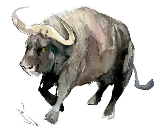 Buffalo