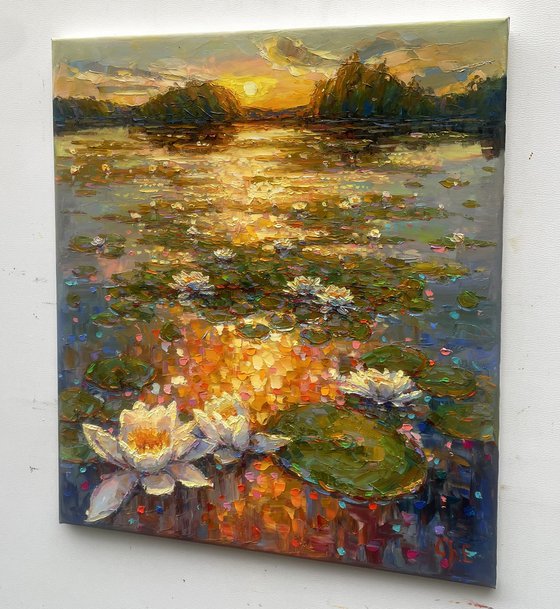 Water Lilies in Bloom