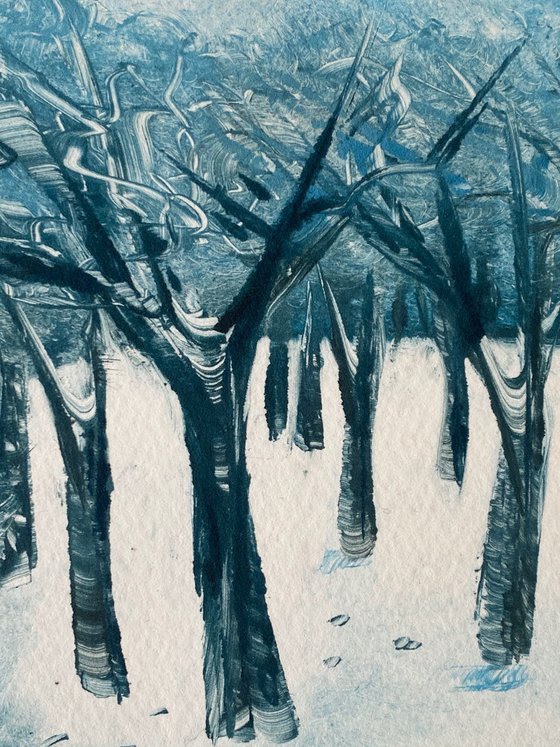 Winter Forest