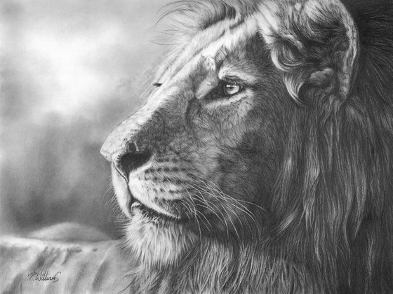 Courageous lion portrait