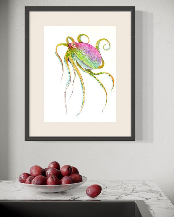 Colorful Octopus