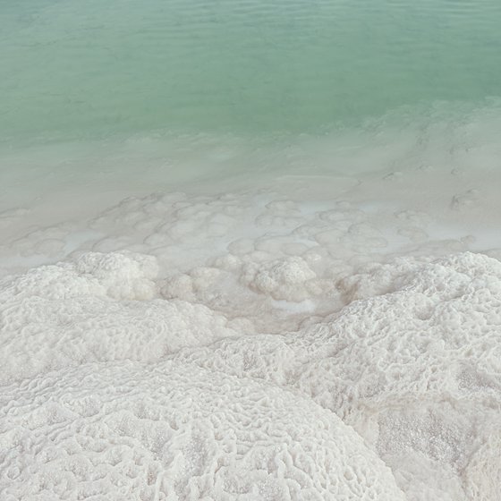 Dead Sea. Salt
