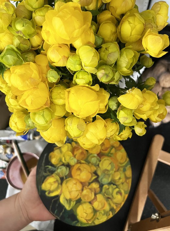 Yellow flowers. Globeflower