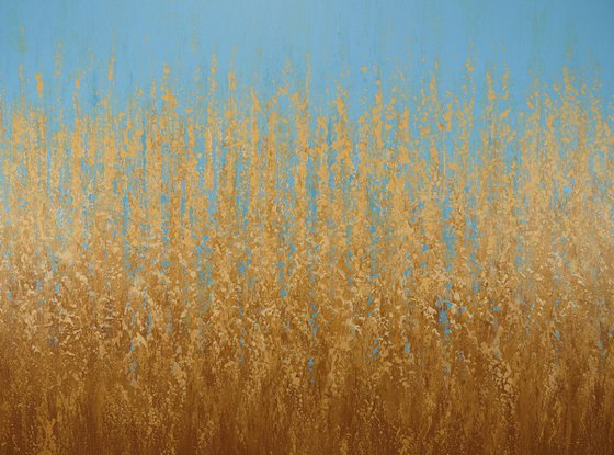 Soft Summer Field