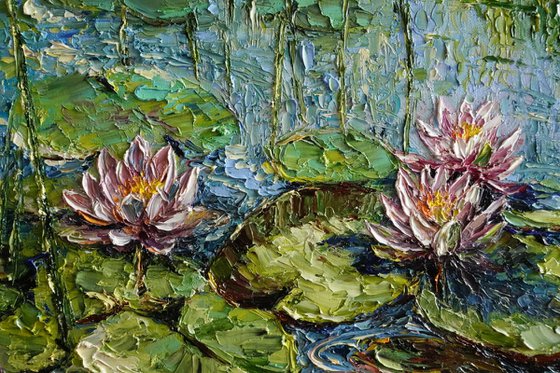 Water Lily Pond